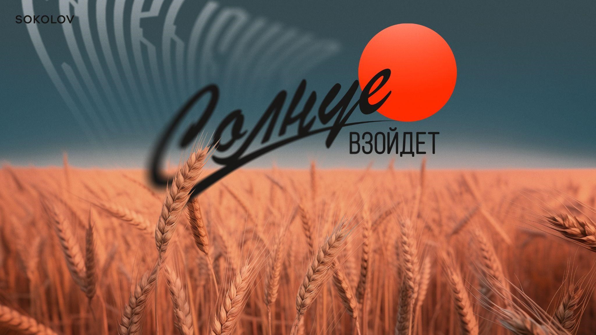 СОКОЛОВ (2024)